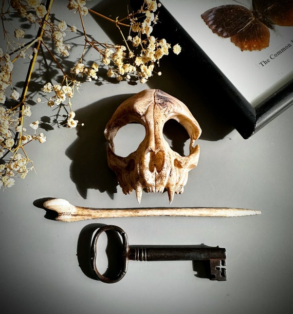 3D Printed Vintage Cat Skull Hair Pin, Dark Academia, Gothic  display picture 3
