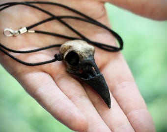 May include: A black cord necklace with a small, detailed, bird skull pendant. The skull is made of a light brown material and has a black beak.