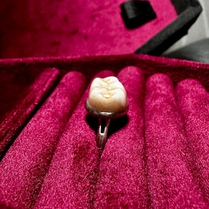 Teeth ring, Creepy Molar Ring, Adjustable Ring, Faux Human Tooth Jewelry, Weird Statement Ring, Vintage Style Tooth Fairy Ring