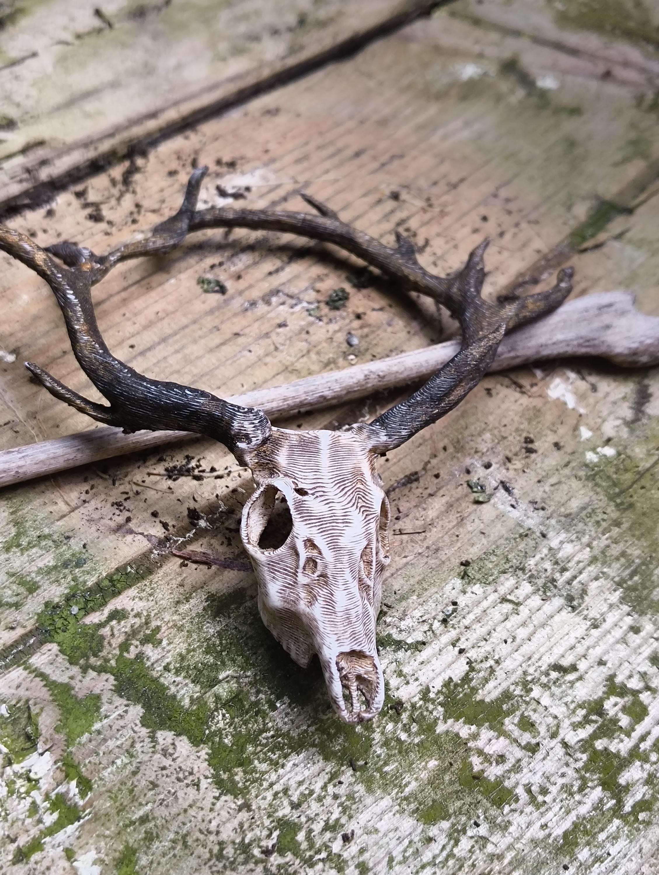 Witchy Antler Skull Hair Barrette Skull Hair Clip: Festival Braid Jewelry - Skeleton or Dragon  main image 4