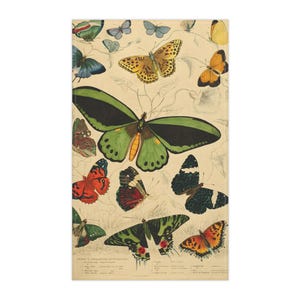 Butterflies Tea Towel Variety of Butterflies Large and Small Kitchen Towel Vintage Butterfly Watercolor Illustrations Hand Towel Cotton