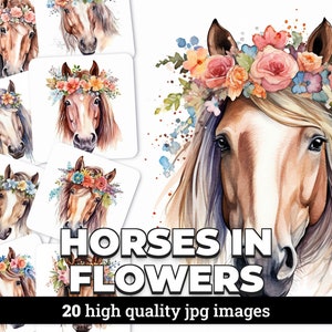 Immagini clipart ad acquerello con bellissimo ritratto di cavallo con licenza commerciale, scrapbooking, inviti, disegni, 16 JPG inclusi