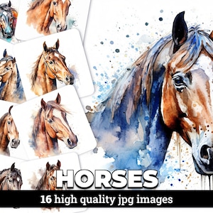 Immagini clipart ad acquerello con bellissimo ritratto di cavallo con licenza commerciale, scrapbooking, inviti, disegni, 16 JPG inclusi