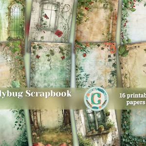 Shabby Stamperia Ladybug Green Bordi e cornici Clipart per Scrapbooking, inviti e disegni - Carta stampabile, Shabby Chic Ephemera