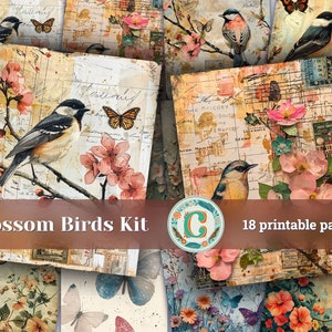 Ensemble de feuilles de scrapbooking fleurs printanières et oiseaux - motifs floraux shabby chic pour journaux indésirables, pages imprimables, cartes postales éphémères
