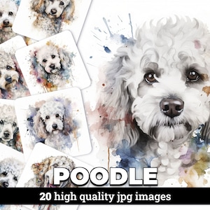 Poodle - 20 High Quality JPG images - Commercial Use Digital Download, Digital Planner, Journaling, Watercolor, Wall Art