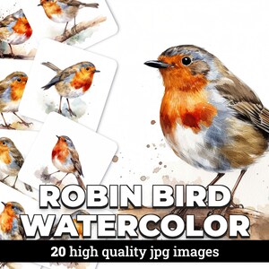 Robin Bird Watercolor Clipart Images with Commercial License- 20 JPGs for Scrapbooking, Invitations, Designs, Nature, Spring, Birds