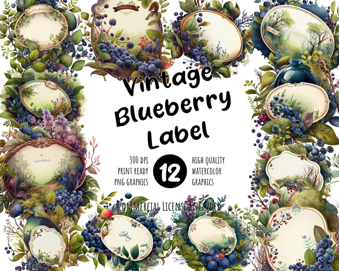 Vintage Blueberry Label Watercolor Clipart Set | Rustic Fruit Design ...
