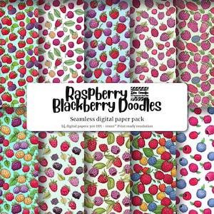 Cute Raspberry & Blackberry Clipart, Doodle Style Watercolor Illustration, Seamless Texture, Hand Drawn Vector, Vivid Colors, High Quality