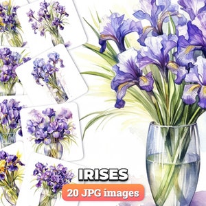 Irises Clipart - 20 High Quality JPGs - Digital Download Card Making, Invitations, Digital Paper Craft, scrapbooking floral scraps