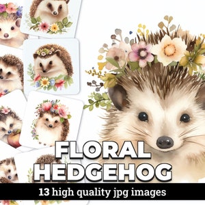 Clipart hérisson floral aquarelle - 13 images JPG avec licence commerciale - Illustrations pour invitations, scrapbooking et travaux manuels