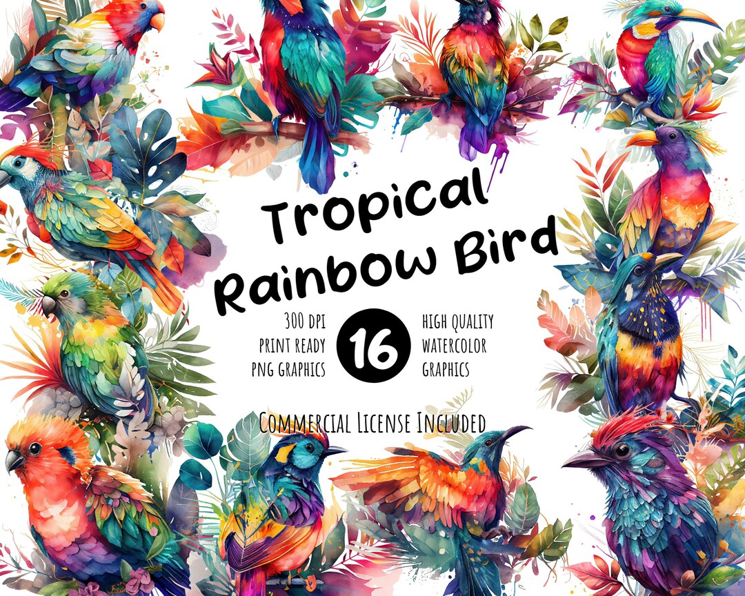 Vibrant Tropical Rainbow Bird Watercolor Clipart Set | Colorful Fauna ...