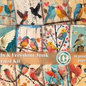 Clipart di uccelli comici con citazioni sulla libertà, kit per diario spazzatura shabby chic, pagine stampabili, carte per scrapbooking, kit per diario