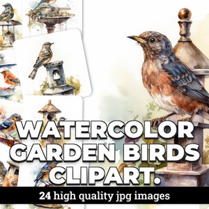 Clipart mangiatoia per uccelli da giardino ad acquerello, 24 immagini JPG con licenza commerciale inclusa per scrapbooking, inviti e artigianato.