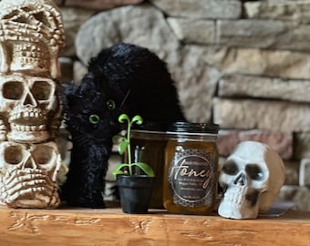 Mère de milliers de plants succulents