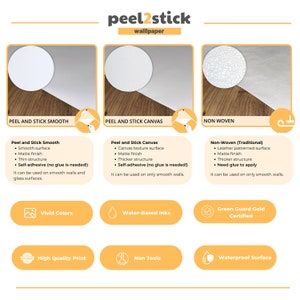 Può includere: Grafico informativo che mostra le opzioni di carta da parati peel2stick. Include Peel and Stick Smooth, Peel and Stick Canvas e Non Woven. Evidenzia colori vivaci, inchiostri a base d'acqua e superfici impermeabili. Il testo menziona anche opzioni autoadesive.