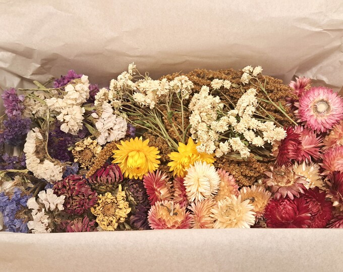 Dried Flower Head Assorts Craft Box Florist Supplies Dried Etsy