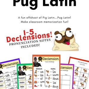 Latin- Pug Latin! 1-5 Declensions with notes, memory work, flashcards, worksheets options, For READERS & NONREADERS!