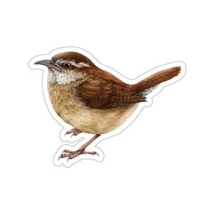 Carolina Wren Kiss-Cut Stickers