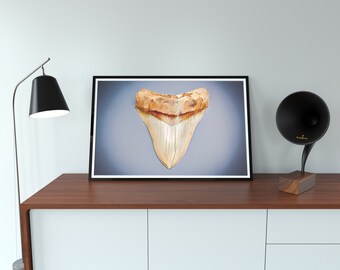 Megalodon Tooth Painting "Indonesian Arrow"  (Printable Decor, Watercolor sea-life art, sharks, Shellfish, Abstract Portrait, wall art,)