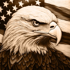 Laser Burn PNG | 3D Illusion | Engrave | Laser Ready |  Lightburn File | Digital Design File | Eagle Head - Veteran-  American Flag Eagle 07