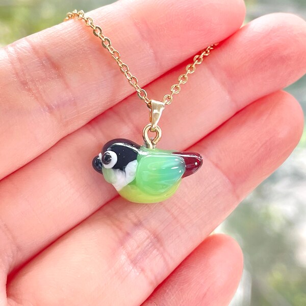 Green Cheek Conure Etsy