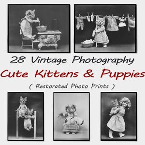 28 adorables y divertidas fotografías de gatitos y cachorros: arte nostálgico de ropa para mascotas, postales con ropa para mascotas retro en blanco y negro para imprimir