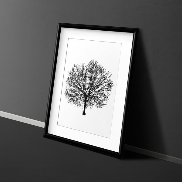 Snow Covered Tree Printable Wall Art, Downloadable Winter Landscape Wall Poster Print, Minimalist Neutral Winter Art Photo Home Gift Poster