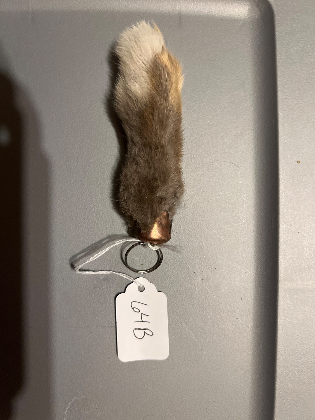 Genuine Rabbit Foot Keychain Etsy