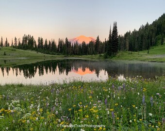 Mountain Sunrise Landscape with Wildflowers Canvas Print. Wall Art of Lobby or Office. Gifts for Hikers. Wildflower Photograph.