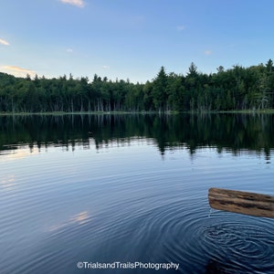 Efecto dominó en el estanque. Bote de remos en el lago. Cielo azul reflejándose en el agua. Árboles Reflexionando sobre el agua. Impresión apaisada. Regalo para Office