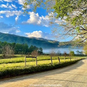 May include: A winding dirt road leads through a grassy field towards a mountain range in the distance. The mountains are covered in trees and there is a layer of fog in the valley. The sky is blue with white clouds.