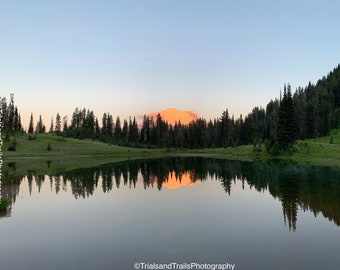 Alpenglow On Mount Rainier. Morning Reflection in the Mountains. Pink and Orange Glow in Summer Sunrise. Tipsoo Lakes, Washington, USA