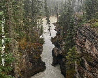 Moody Mountains in Alberta Canada with a Rushing Tree Lined River Photograph Landscape Canvas Print. Whitewater Flowing River Photo