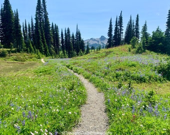 Walk Through the Wildflowers to the Mountains. Mount Rainier Canvas Art. Pacific Northwest Outdoor Lover Decor. Walk Amongst Flowers Art