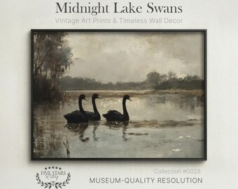 Cygnes lacs de minuit | peinture vintage Black Swan | Téléchargement numérique imprimable #0028
