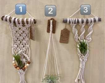 Macrame Air Plant Hanger