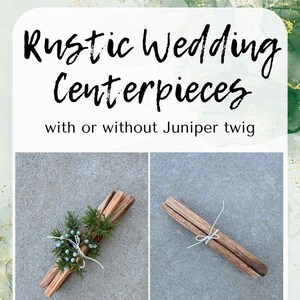 Natural Fatwood Fire Starter Bundle of 5 Sticks Eco-Friendly Kindling for Camping Wedding Party Favor Holiday Decor Minimalist Compostable