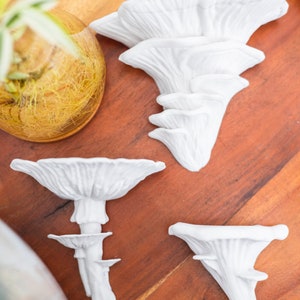 Op de afbeelding: Vier witte keramische paddenstoelensculpturen op een houten oppervlak. De paddenstoelen zijn van verschillende grootte en hebben een realistisch uiterlijk.