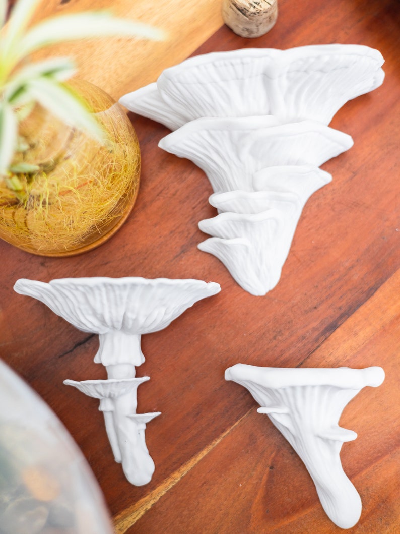 Op de afbeelding: Vier witte keramische paddenstoelensculpturen op een houten oppervlak. De paddenstoelen zijn van verschillende grootte en hebben een realistisch uiterlijk.