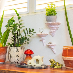 Op de afbeelding: Drie planten in potten, een slangplant, een ZZ-plant en een spinplant, staan op een houten tafel. De slangplant staat in een terracotta pot, de ZZ-plant in een witte pot met zwarte geometrische patronen en de spinplant in een terracotta pot met oranje en witte strepen. Er zijn drie witte keramische wandplanken met een kleine groene plant in een grijze pot op de bovenste plank. Een klein keramisch kikkerbeeldje staat op de tafel.