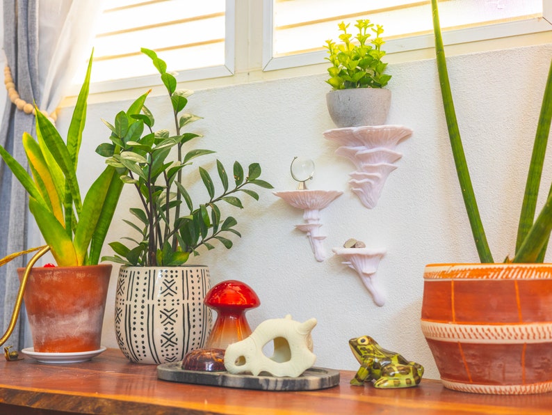 Op de afbeelding: Drie planten in potten, een slangplant, een ZZ-plant en een spinplant, staan op een houten tafel. De slangplant staat in een terracotta pot, de ZZ-plant in een witte pot met zwarte geometrische patronen en de spinplant in een terracotta pot met oranje en witte strepen. Er zijn drie witte keramische wandplanken met een kleine groene plant in een grijze pot op de bovenste plank. Een klein keramisch kikkerbeeldje staat op de tafel.