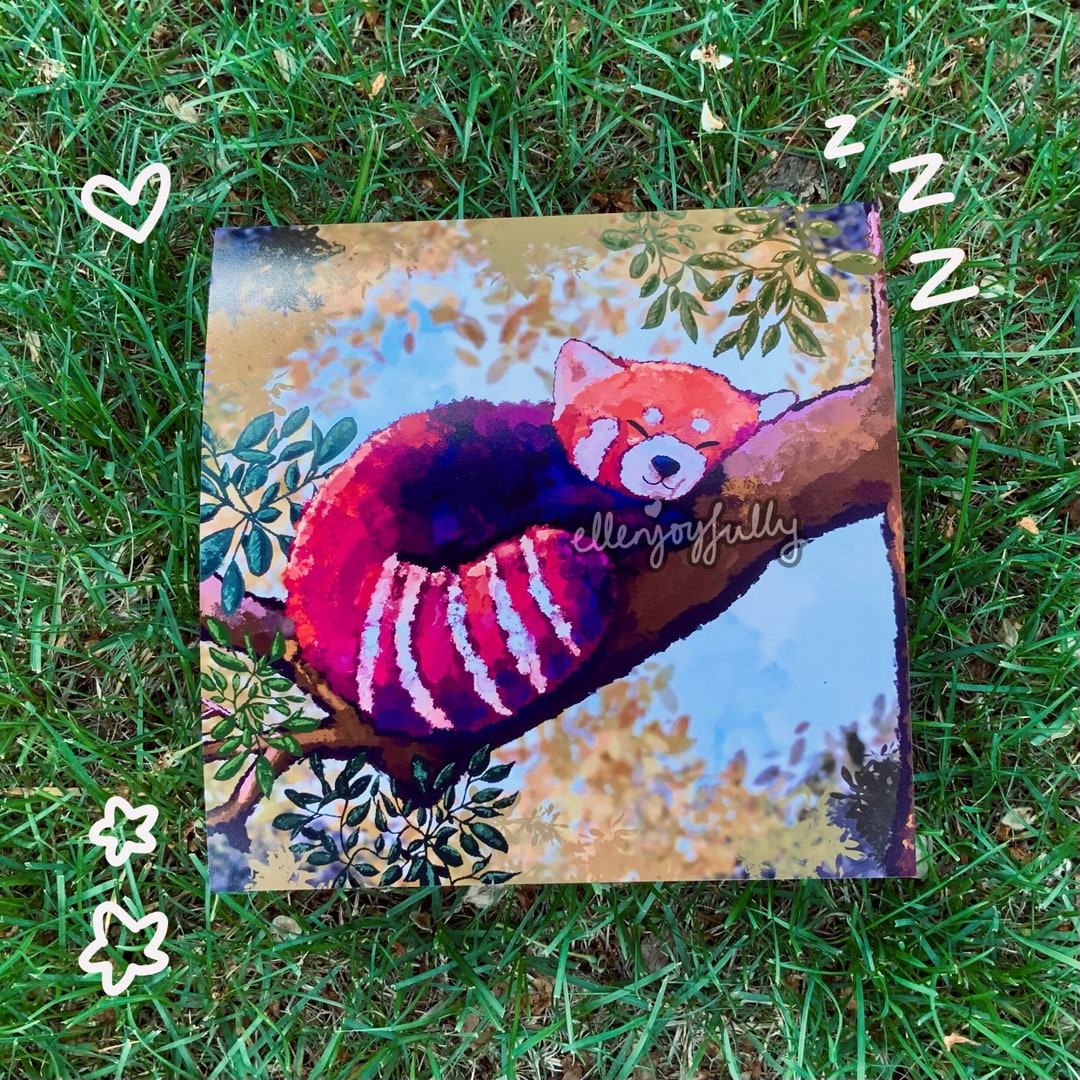 Sleeping Red Panda Print 8x8 Art Print Sleeping Red Panda Wall Decor