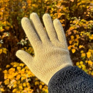 Op de afbeelding: Een lichtbeige gebreide handschoen met een geribbelde textuur. De handschoen wordt getoond tegen een achtergrond van herfstbladeren. De manchet van de handschoen is zwart en fuzzy.
