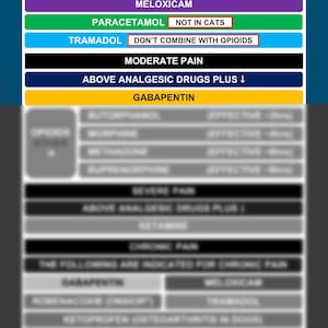 May include: A chart titled "Analgesia" with a pain scale for animals. The chart lists different pain levels and the corresponding medications for each level. The medications listed include meloxicam, paracetamol, tramadol, gabapentin, and ketamine.