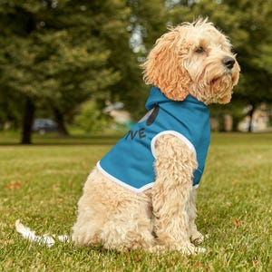 Hoodie huisdier, hondensweatshirt, gezellige puppyhoodie, hondenhoodie Stay Pawsitive, zachte comfortabele outfit voor huisdier