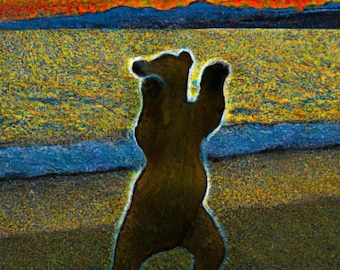 Dancing Bear Beach 1