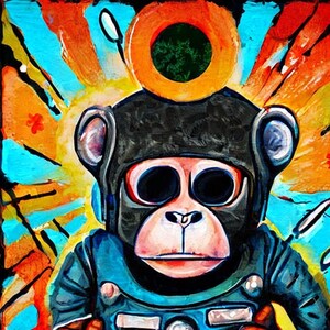 Space monkey