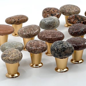 May include: A collection of 20 natural stone cabinet knobs with gold metal bases. The knobs are various shades of brown, grey, and black.