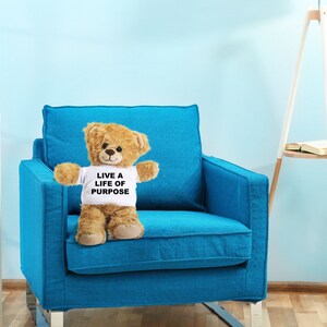 Life on purpose teddy bear. Great gift of cuddily goodness and purpose for family or friend. Girlfriend gift. Boyfriend gift.